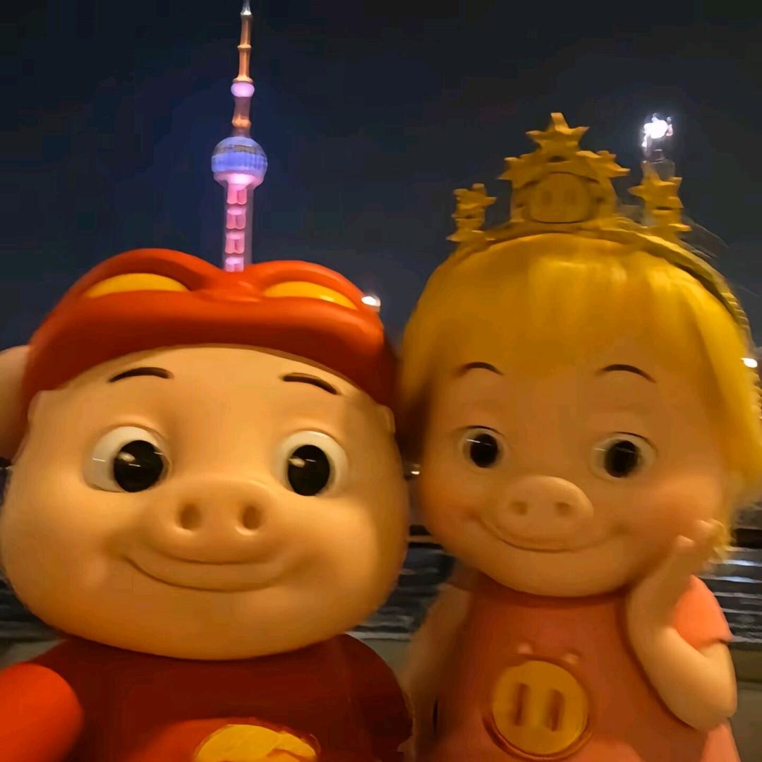 云边有个猪宝贝🗿