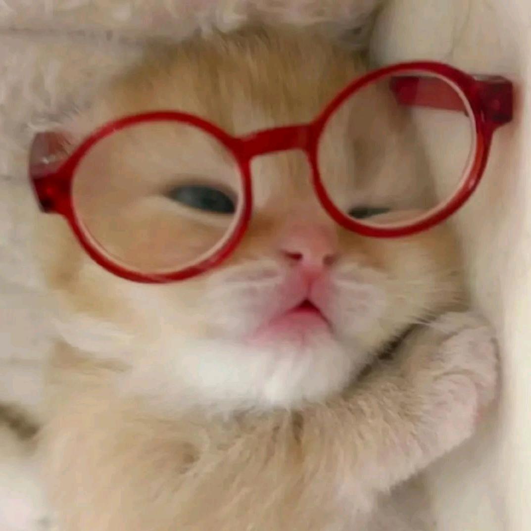 汤圆