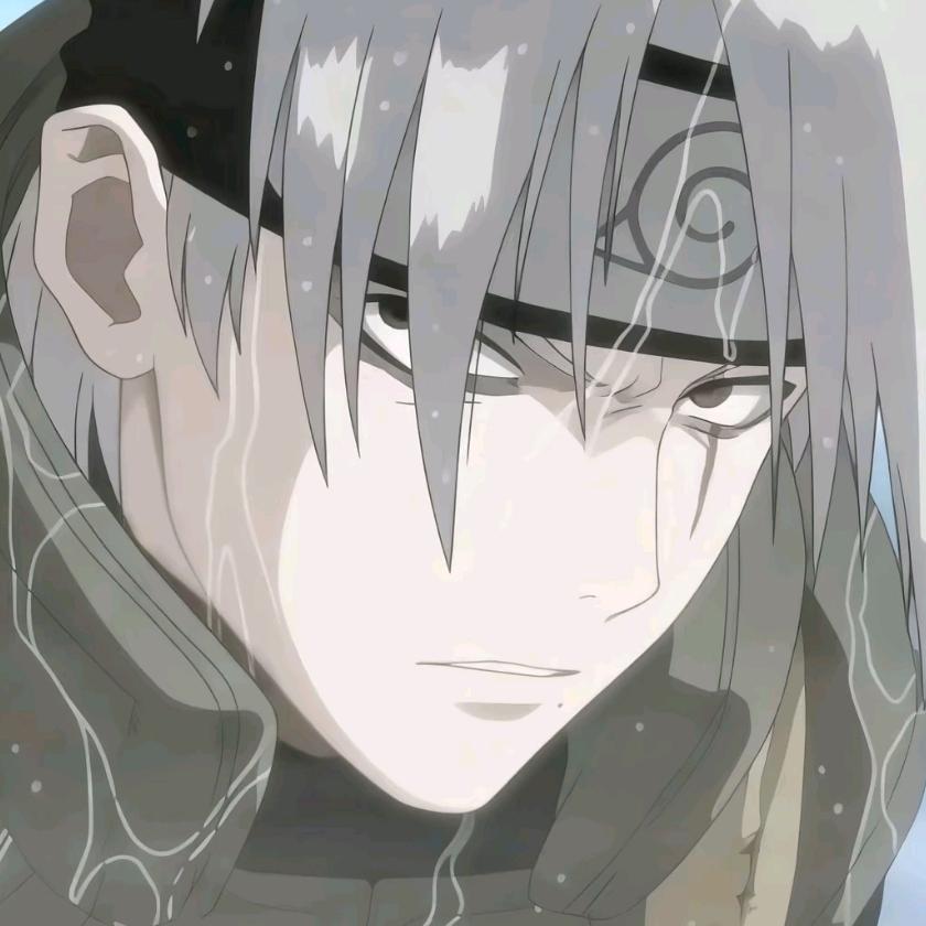 我和我的鳄鱼朋友