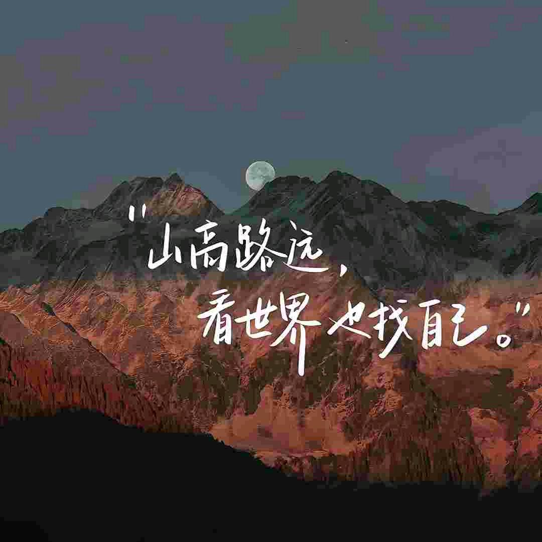 总有人间一两风…