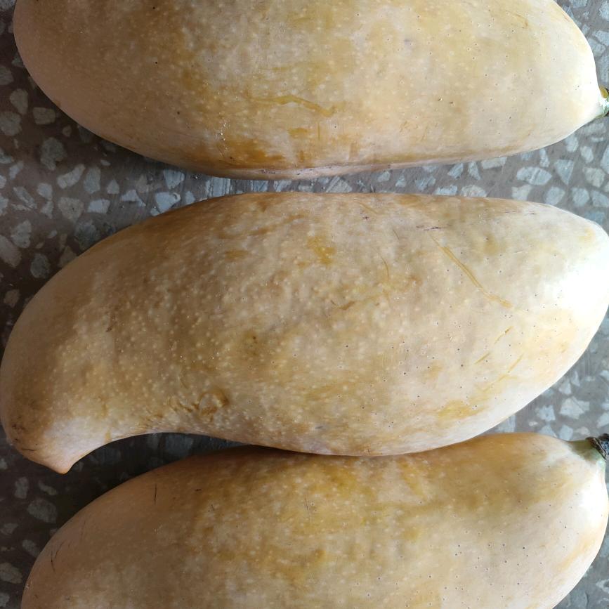 🌹✧*。٩(ˊωˋ*)و✧*。