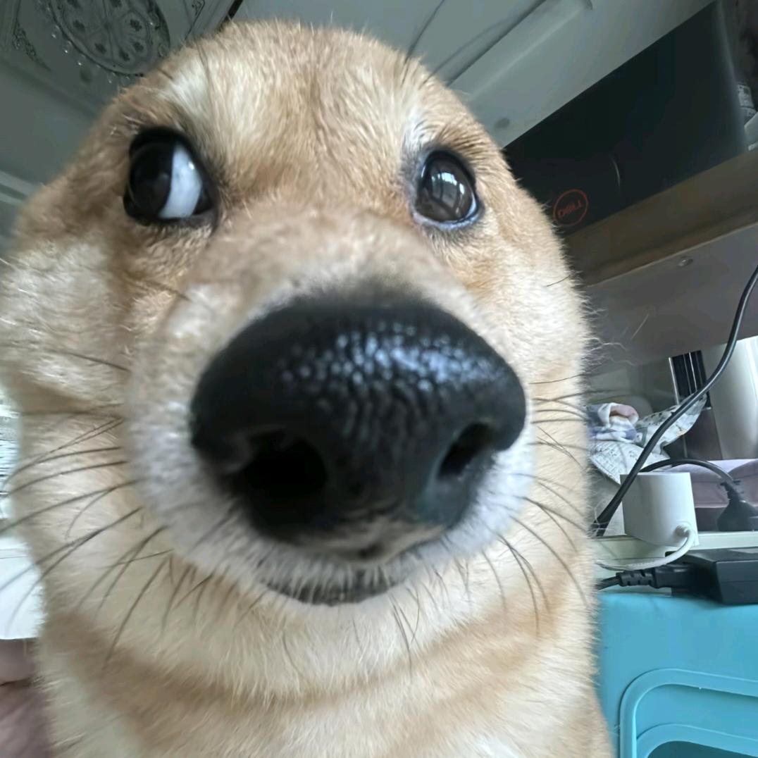 老公为小三出走的那个雨夜.