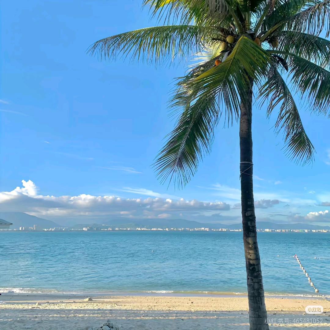 一枚核桃（互）