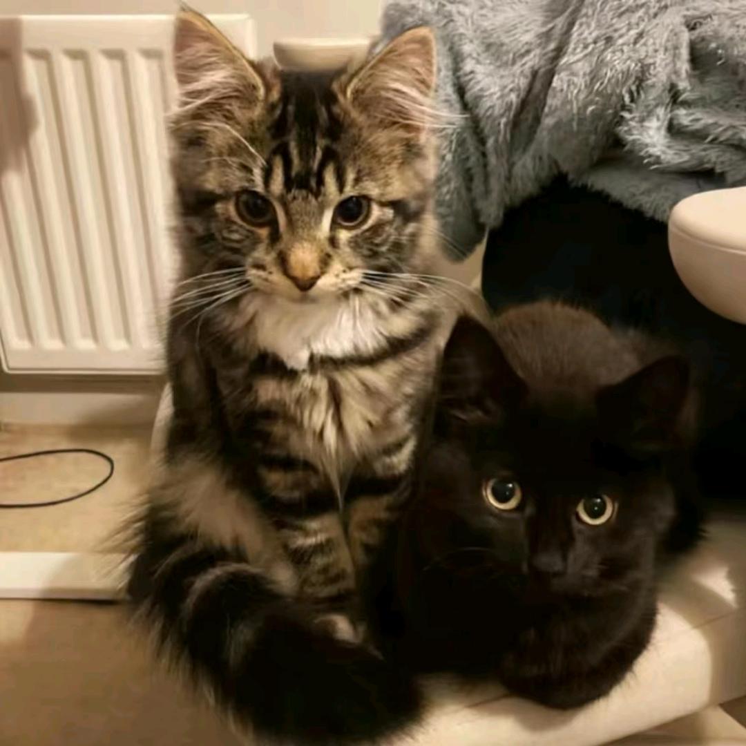 过期安眠药  ￴￴ ￴ ￴ ￴ ￴￴ ￴