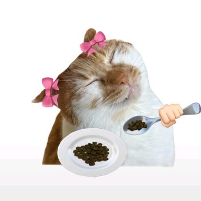 呆呆呆