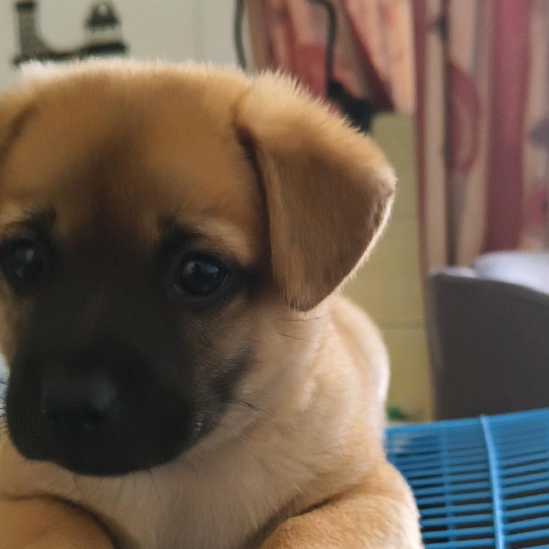 兼得👂(三角州行动)