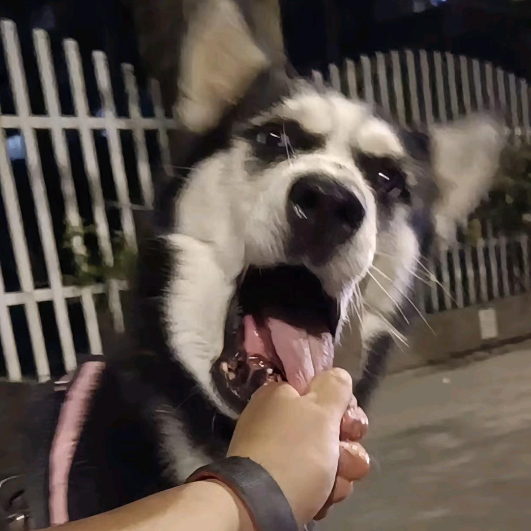 妈妈说名字太长就会有傻子跟着念