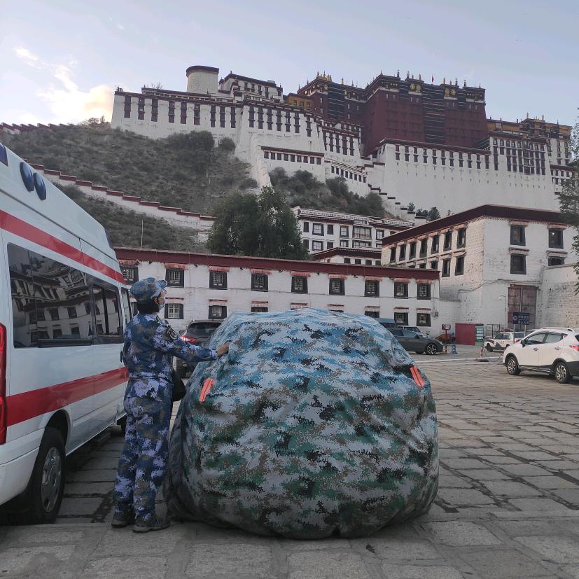 医望情深