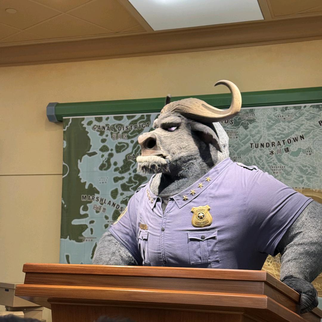 你长在我的审美上