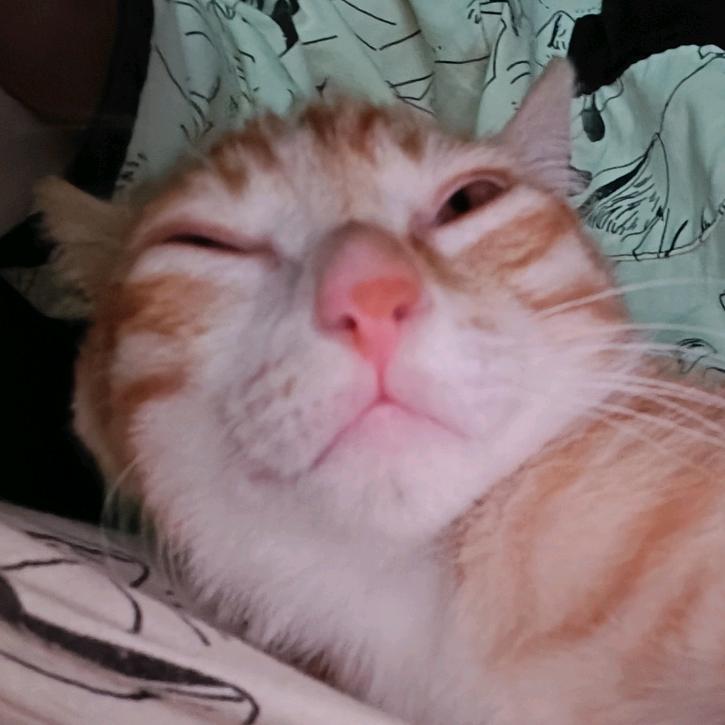 草莓苹果巧克力派