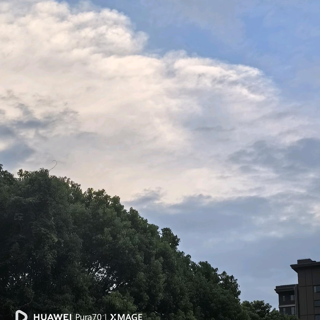 爱小🐶