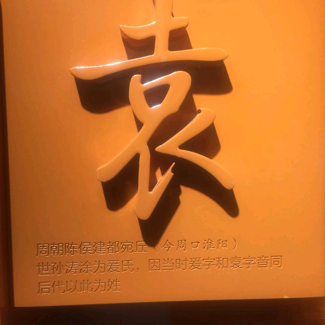 涛涛
