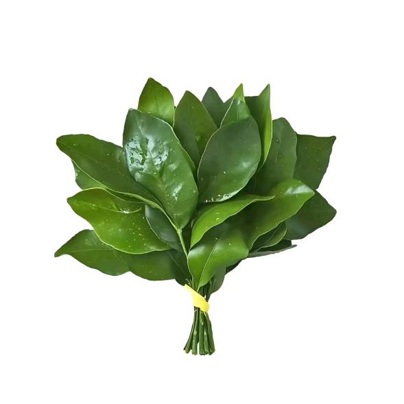 达不溜达不溜