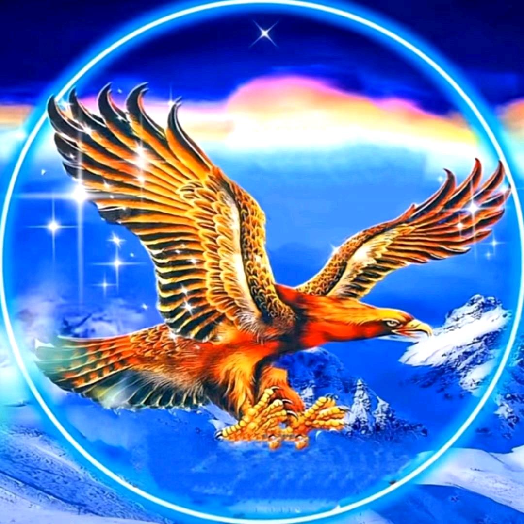 🇨🇳雄鹰🇨🇳