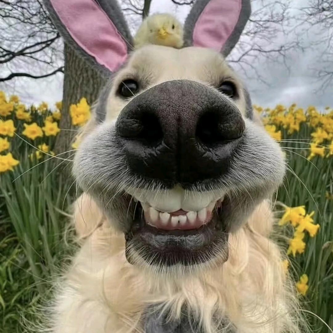 ❤️💛🧡💛💚💜