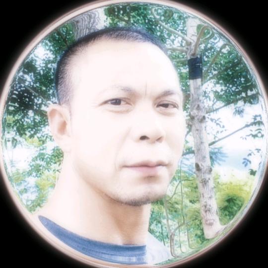 老莫