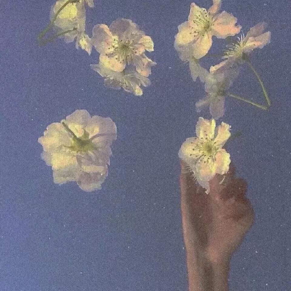 自营欧美海外仓，接小包货代同行