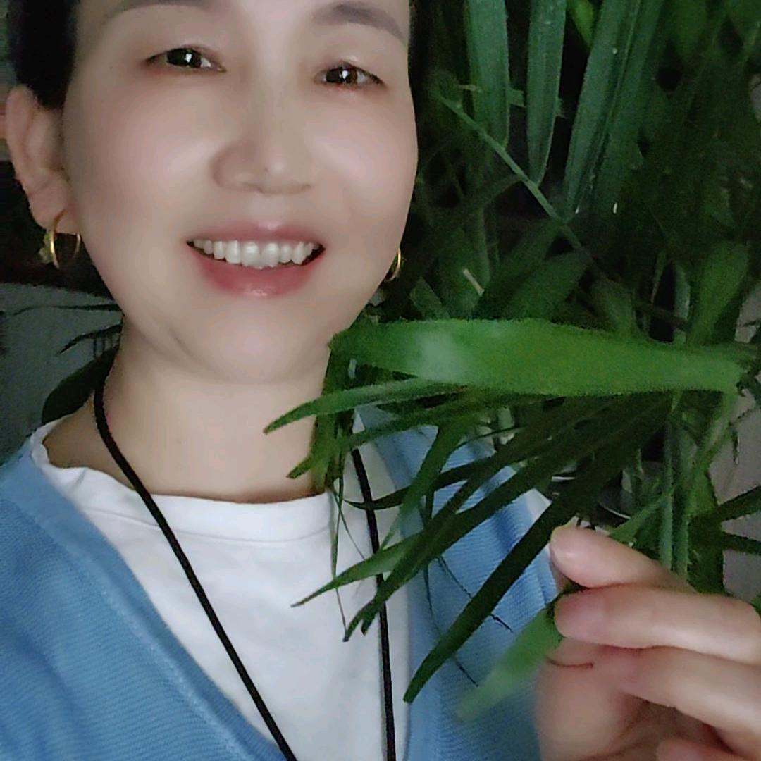 成都，赵清兰，