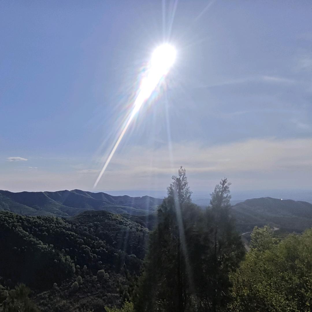 莫璃（三角洲行动）