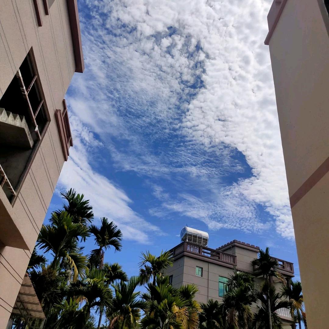 🌴岛🌴民🌴