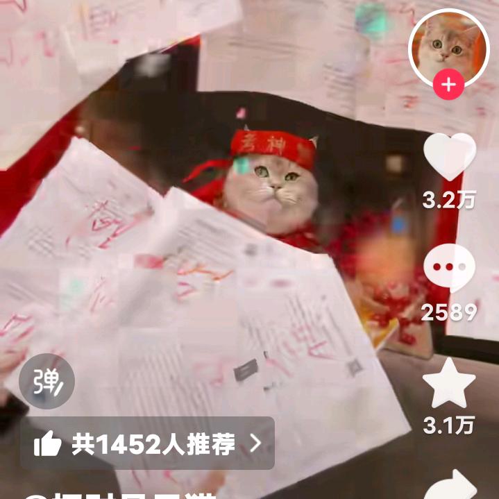 コドグドニ肀肀⒚⒚肀⒚⑩