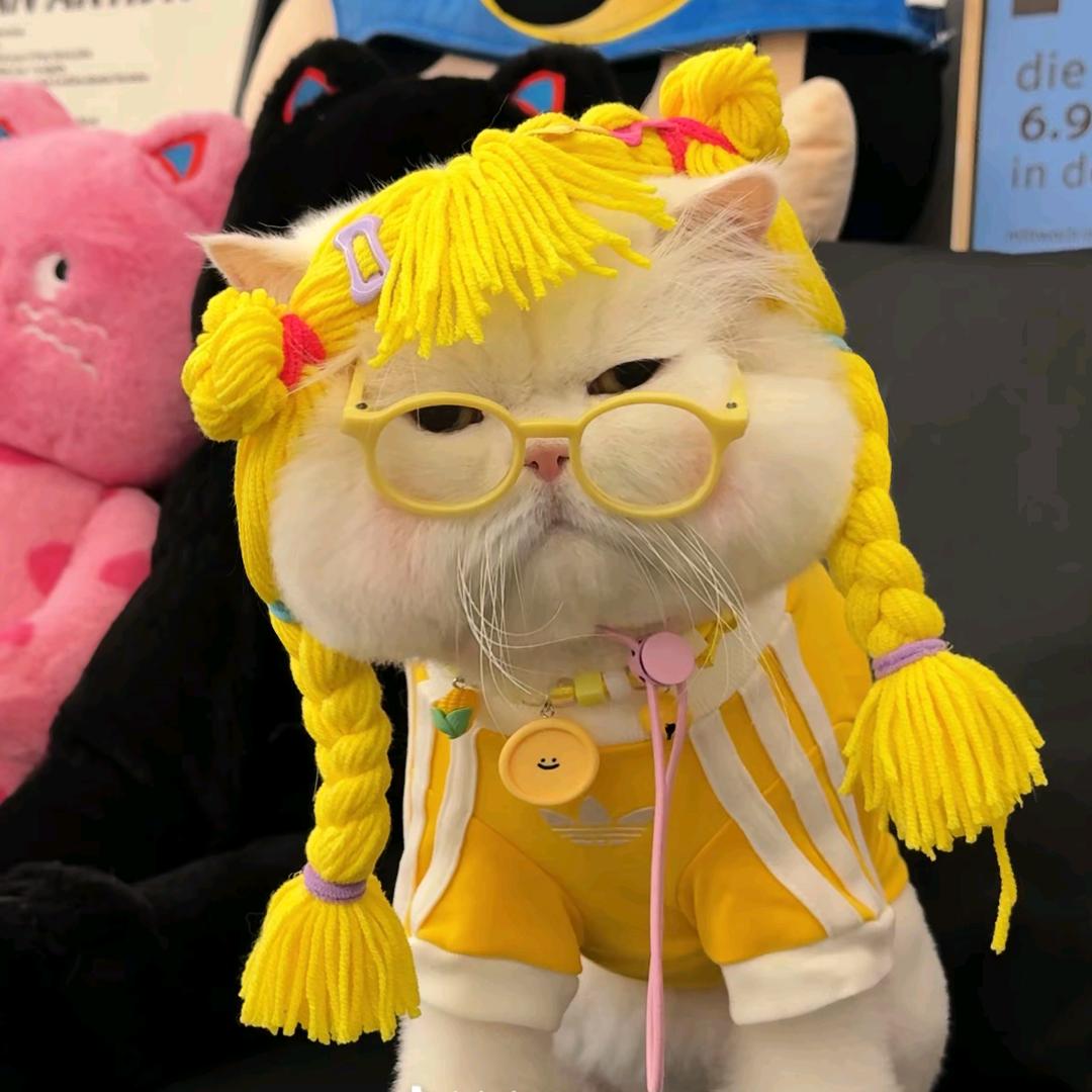 花花不吃鱼
