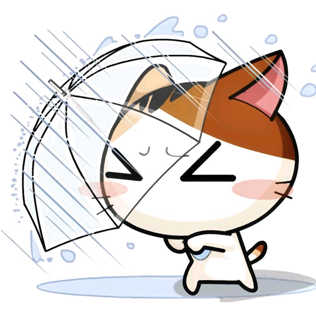 斯到po！
