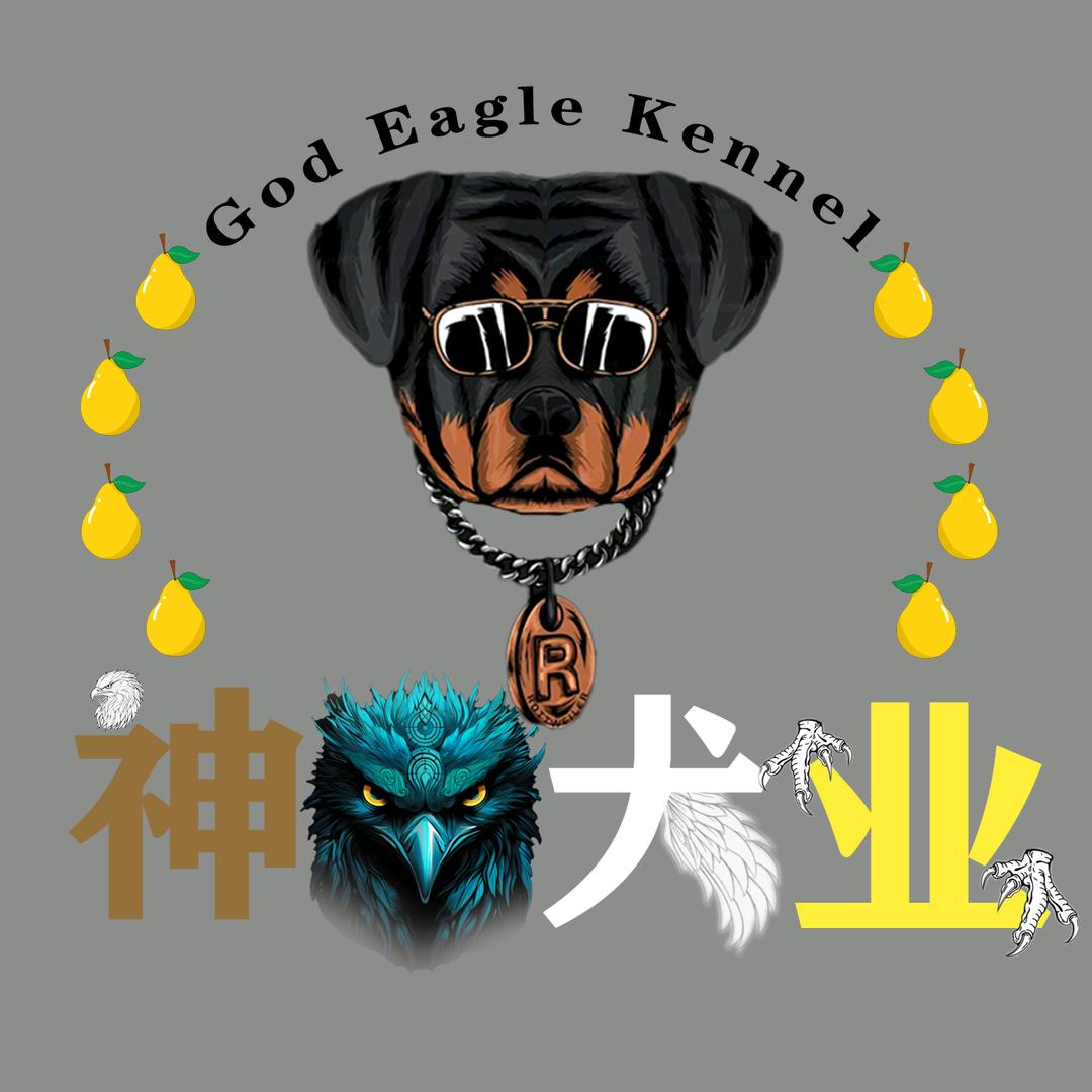 🏆神圣之鹰犬舍🇩🇪（狗粮批发）
