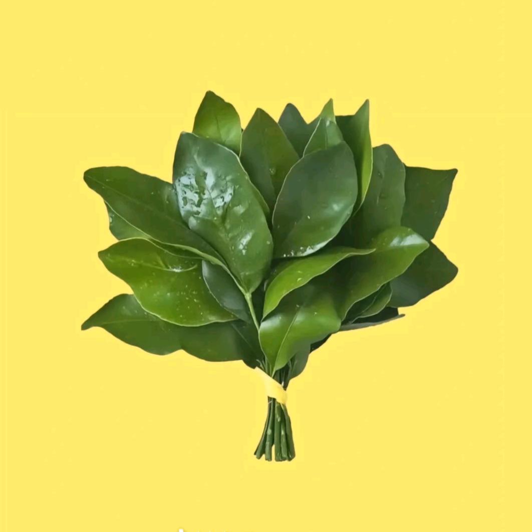 小田～老张