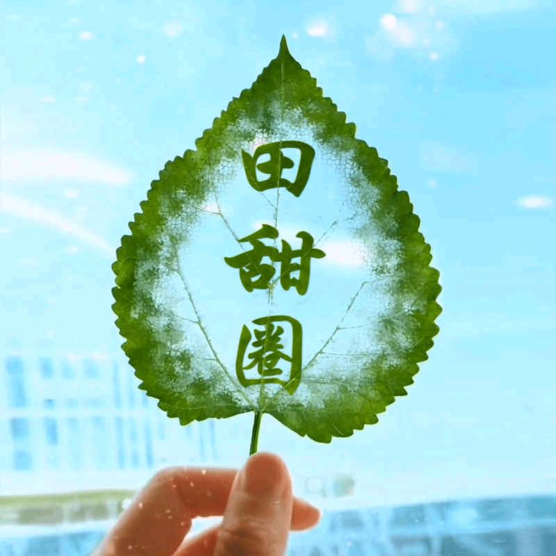 食客烧烤
