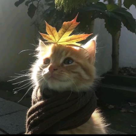 昭君王