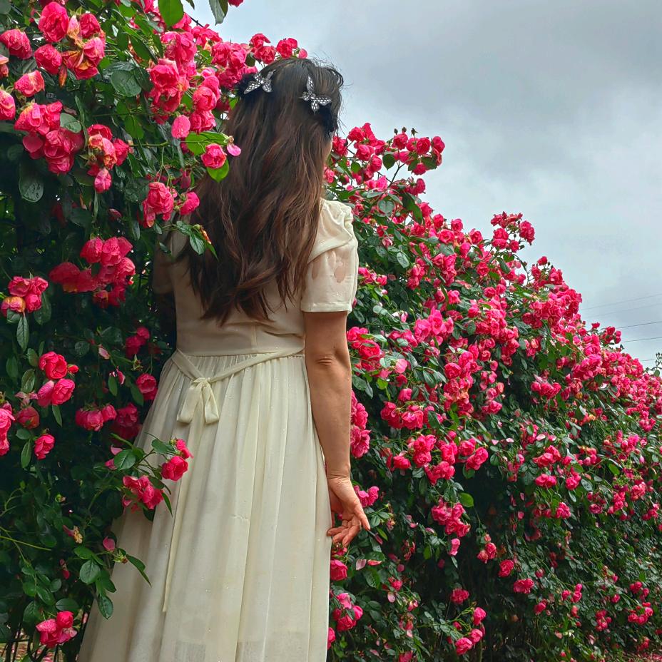 🍒🍒幻樱の果语🍎🍎