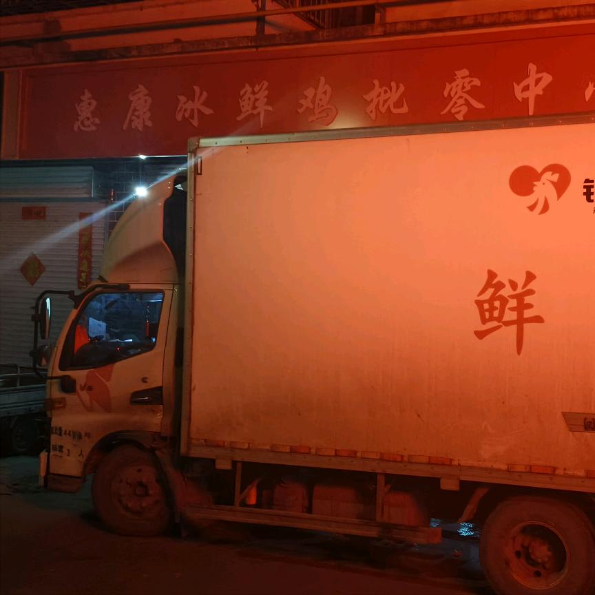 宜阳县惠康冰鲜鸡