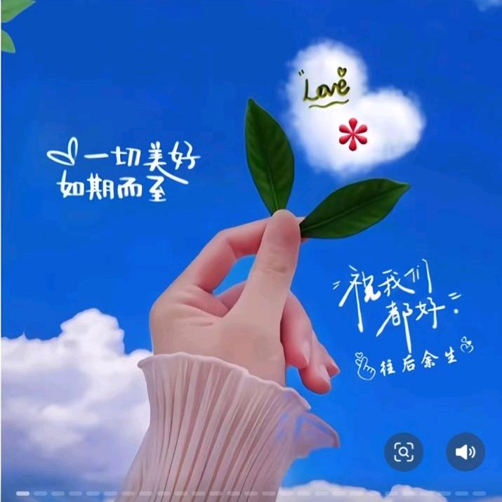 老爸老妈