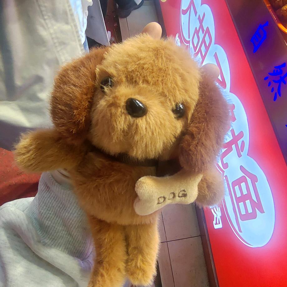 猫喵喵✔头像