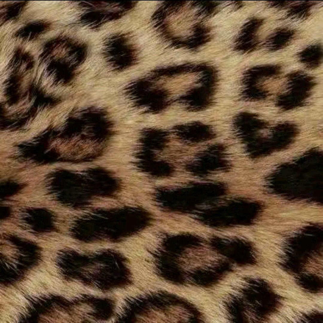 蕊蕊 、