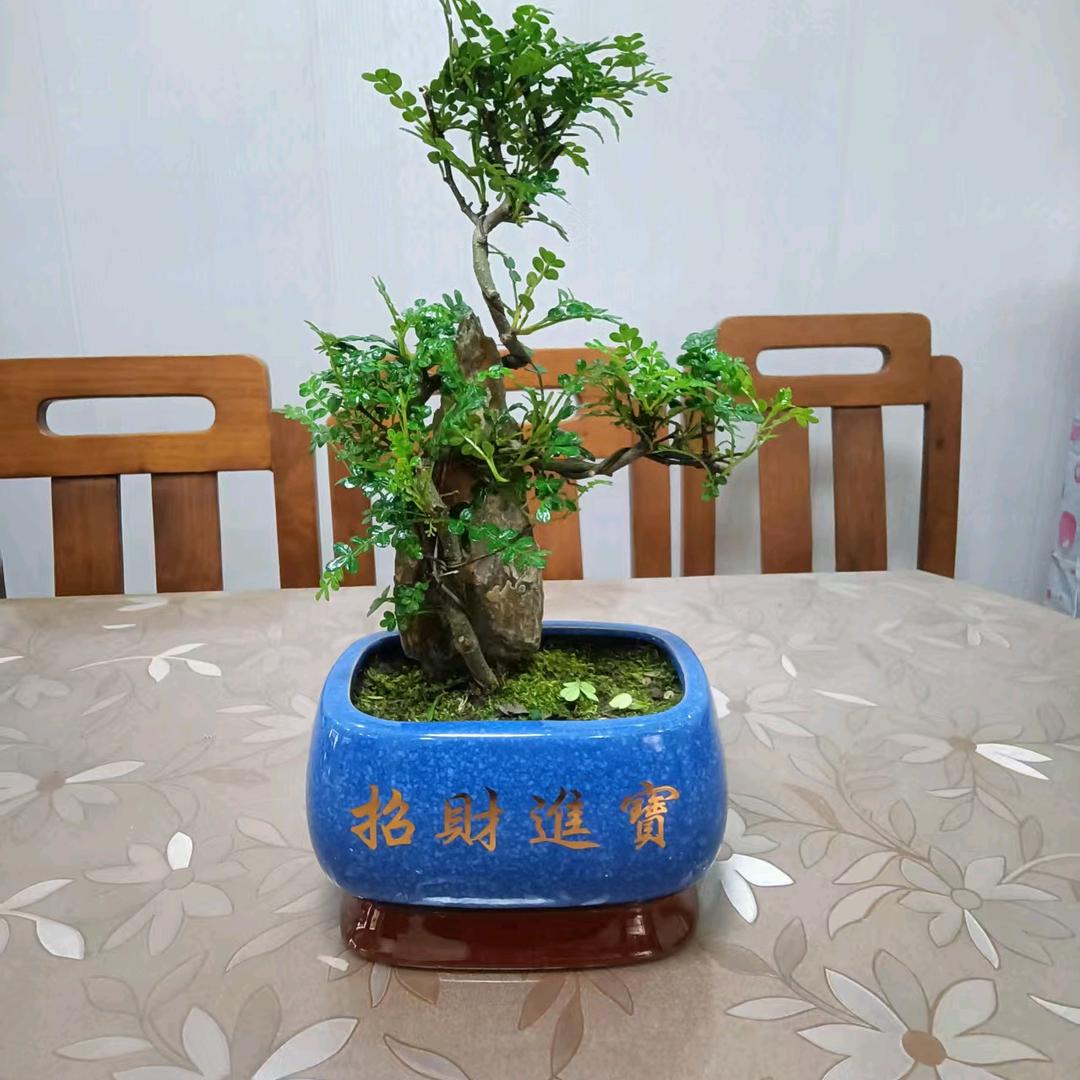 心累