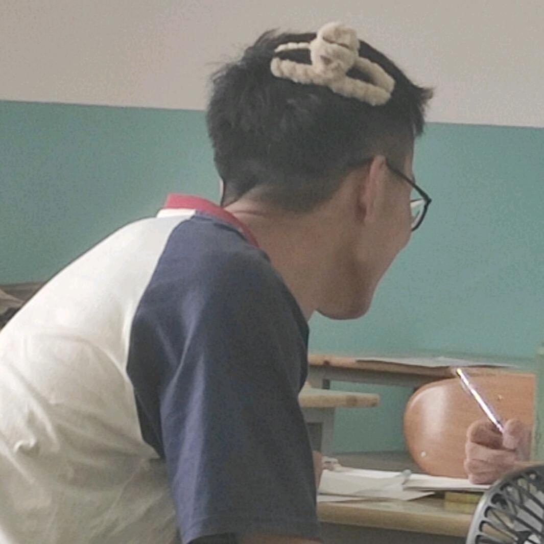 Ting-龙布