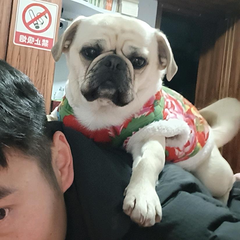 恒哥哥　　　　　　　　　　　　　　　广告