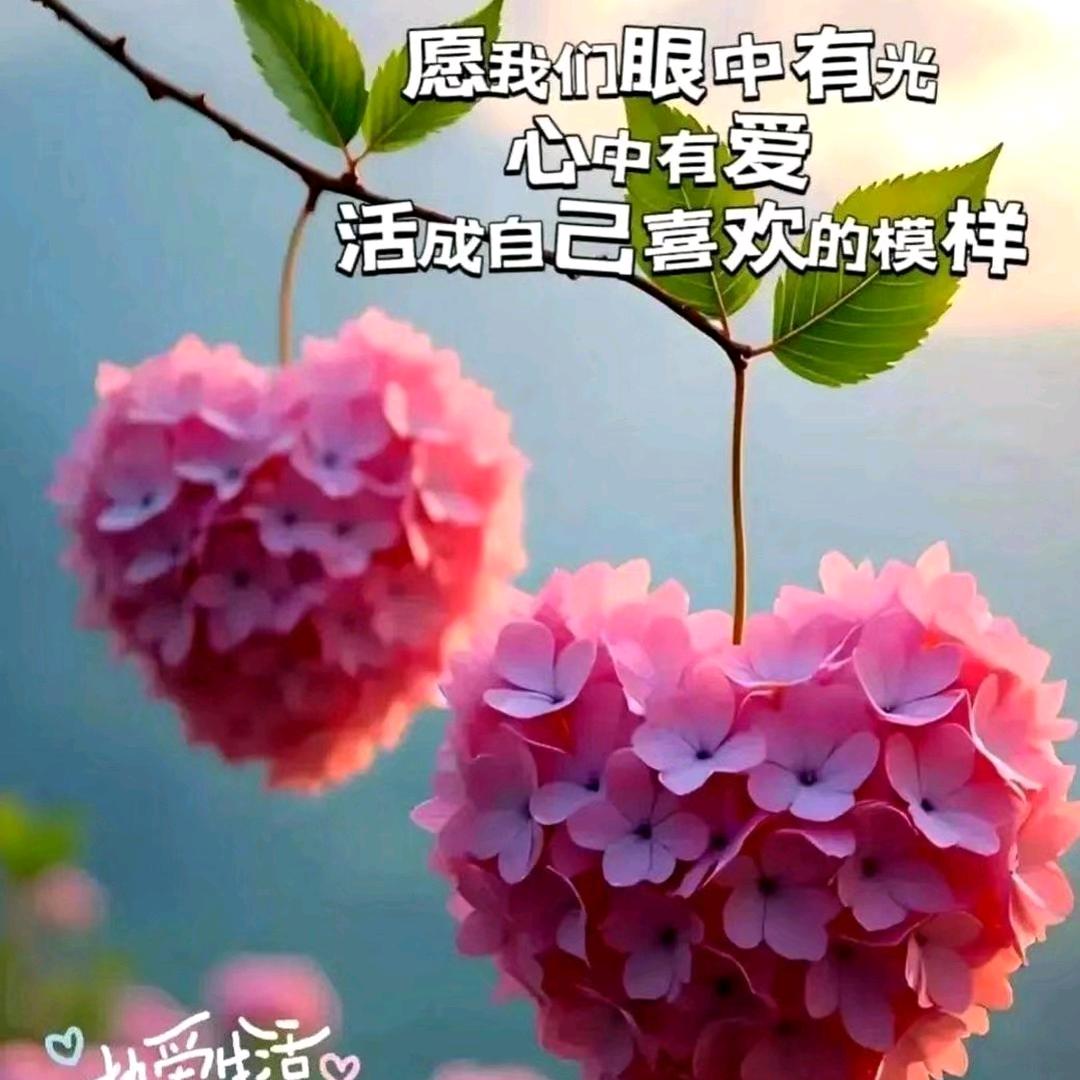 🌴一生陪伴🙏：