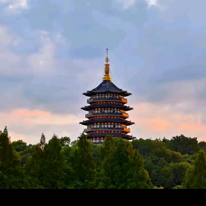 单身段哥