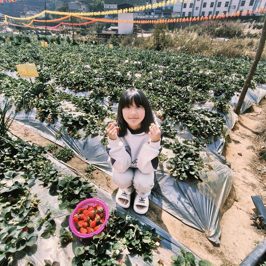 爱情让人心痛