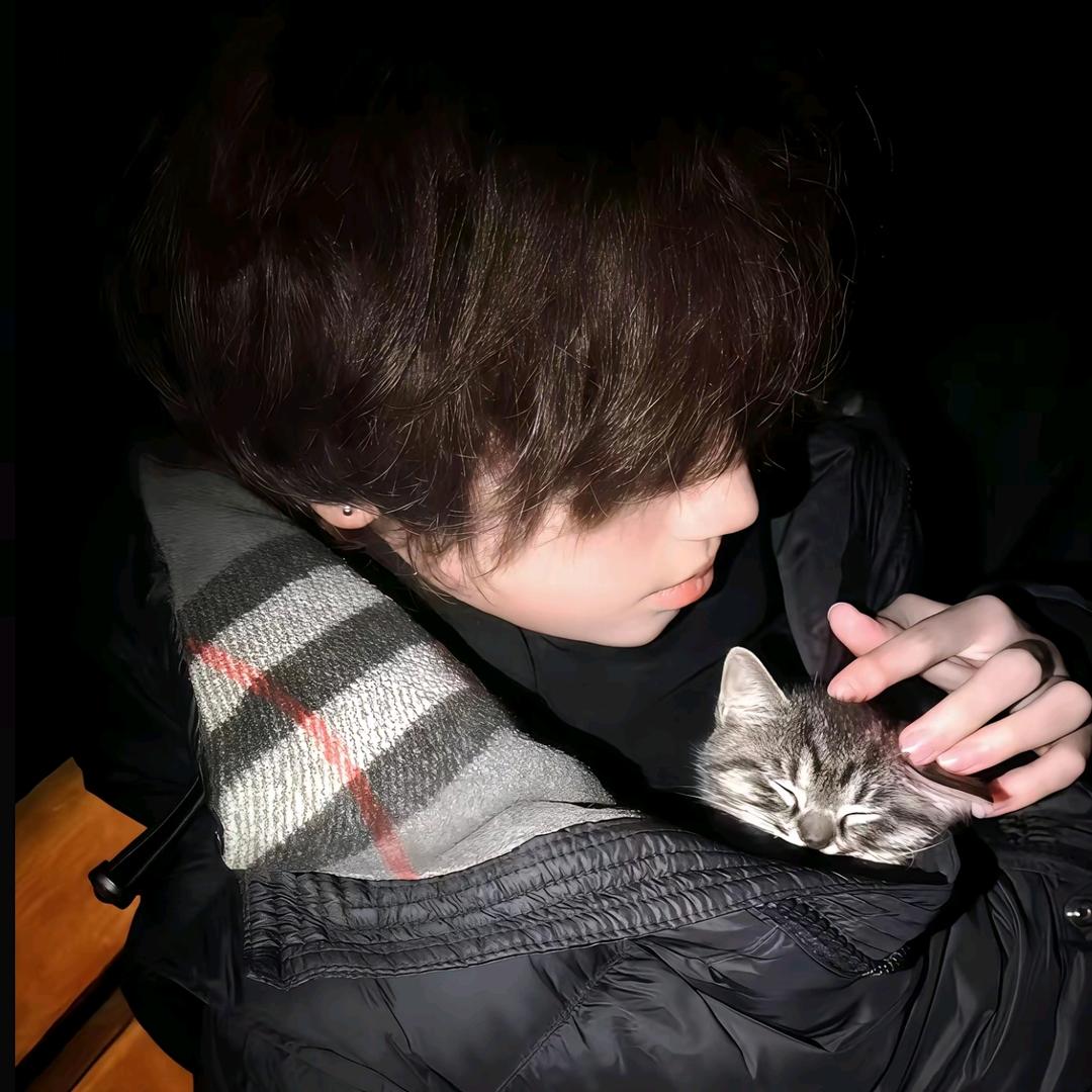 一条内裤的使命