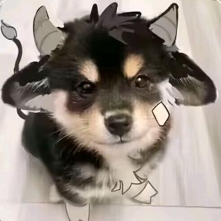 放下世俗，尽享后世