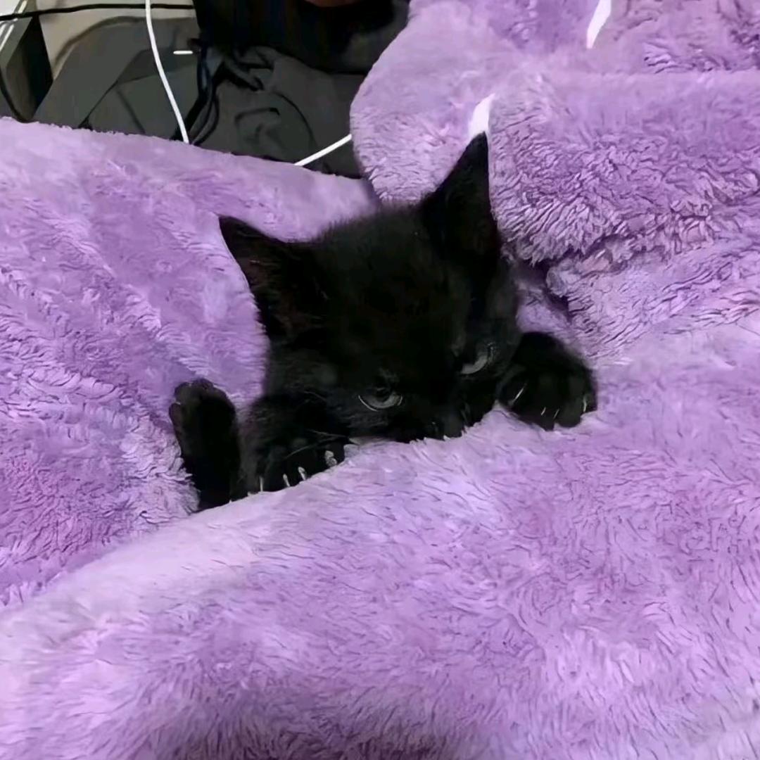 ⁺✞ʚ 人民币重度依赖ɞ✟₊