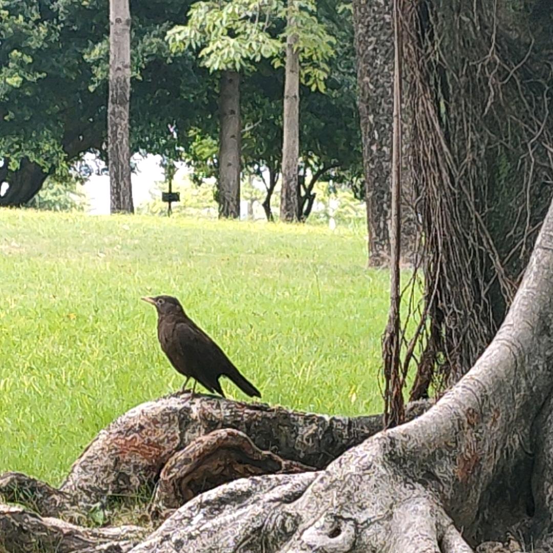 原色不改棱角磨平