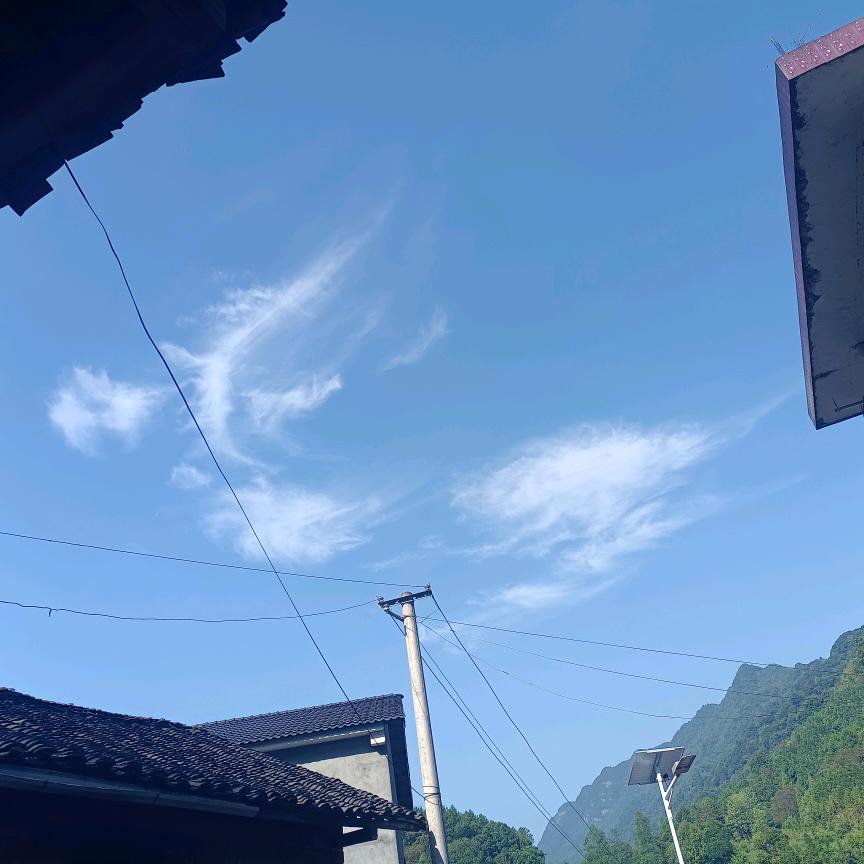 ꫞洋o洋꫞   (❤ε❤)