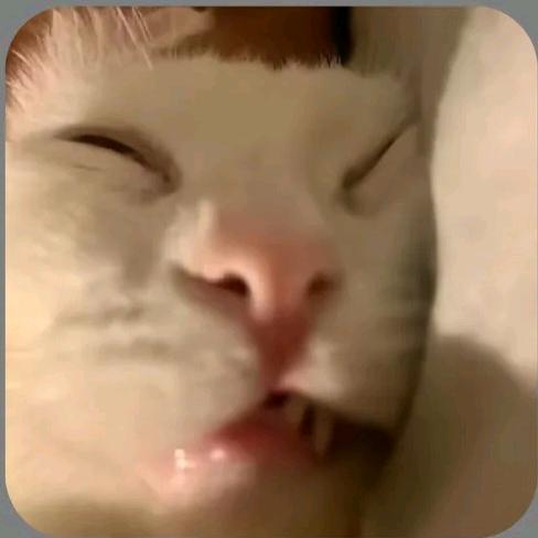 -好困-😴