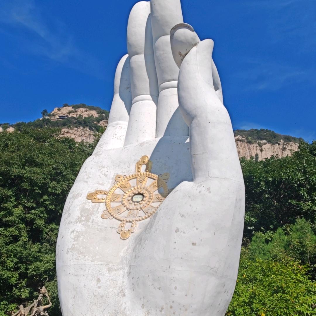 一花一世界，一叶一菩提🙏🙏🙏