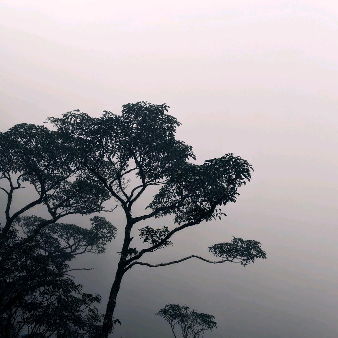左右